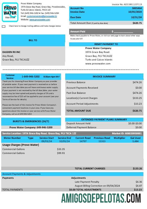 para download Reino Unido Ilhas Turks E Caicos Provo Water Company Business Utility Bill Modelo Word E PDF